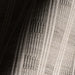 IMG_Detail4