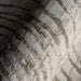 IMG_Detail4