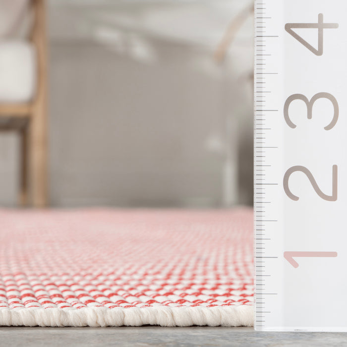 Home Conservatory Pinstripe Handwoven Indoor/Outdoor Area Rug