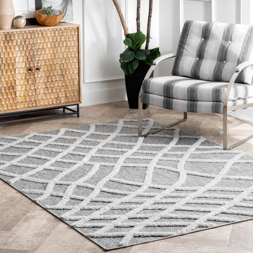 Carly Raised Fishnet Trellis Area Rug