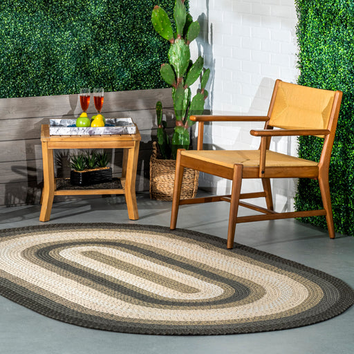 Sammy Braided Ombre Indoor/Outdoor Area Rug