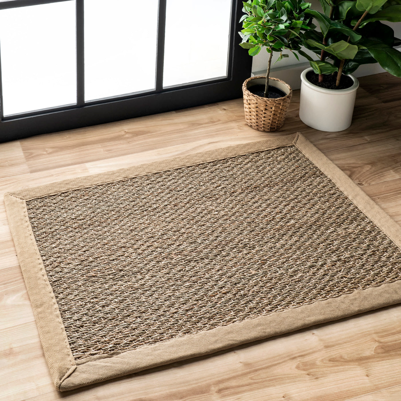 Elijah Seagrass with Border Area Rug — nuLOOM