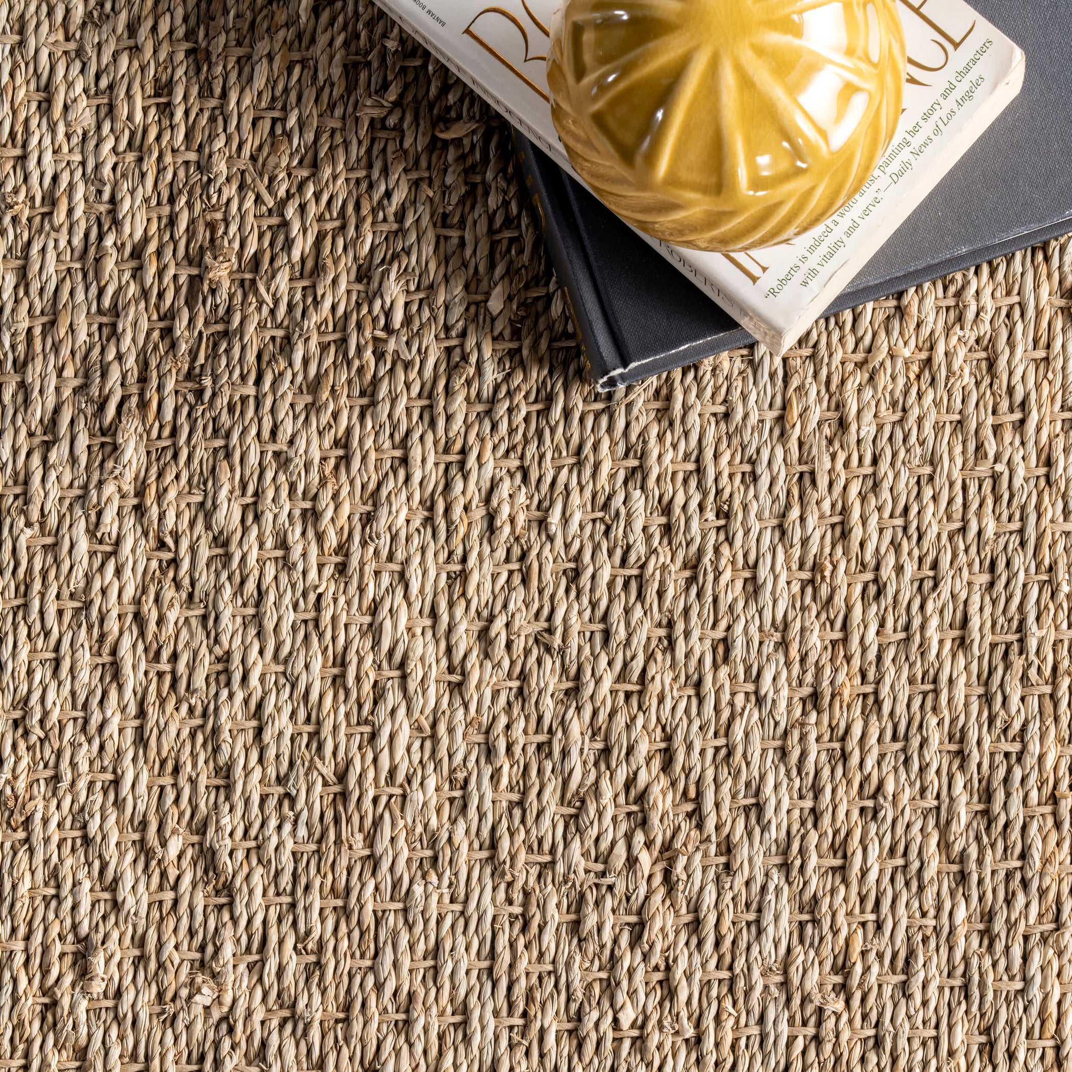 Elijah Seagrass with Border Area Rug — nuLOOM