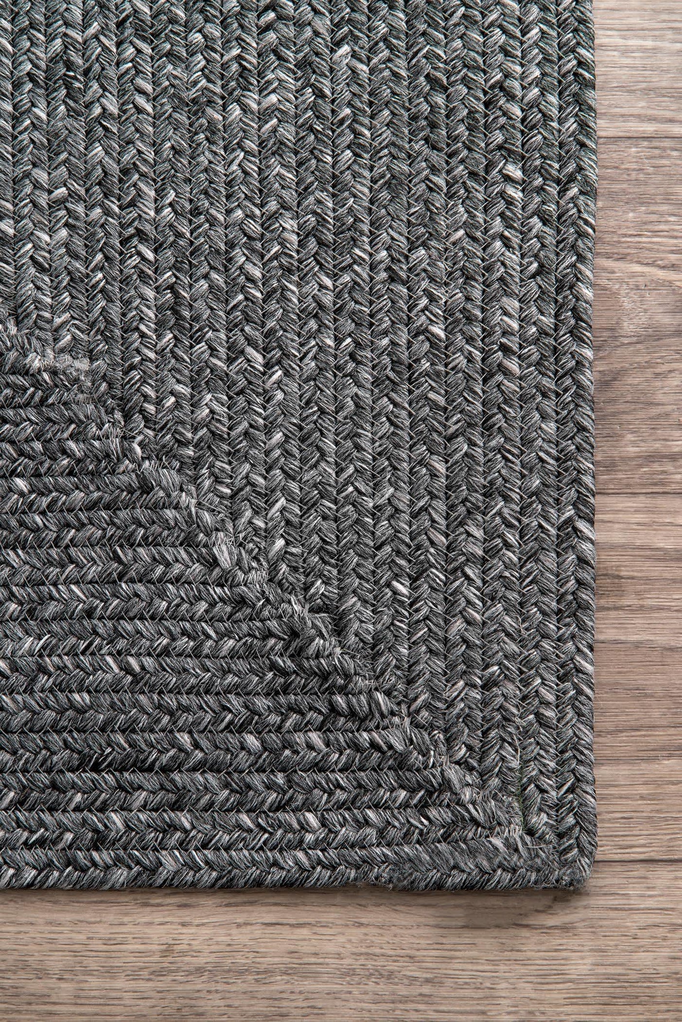 Wynn Braided Indoor/Outdoor Area Rug — nuLOOM