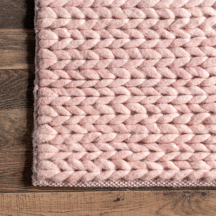 Penelope Braided Wool Area Rug — nuLOOM