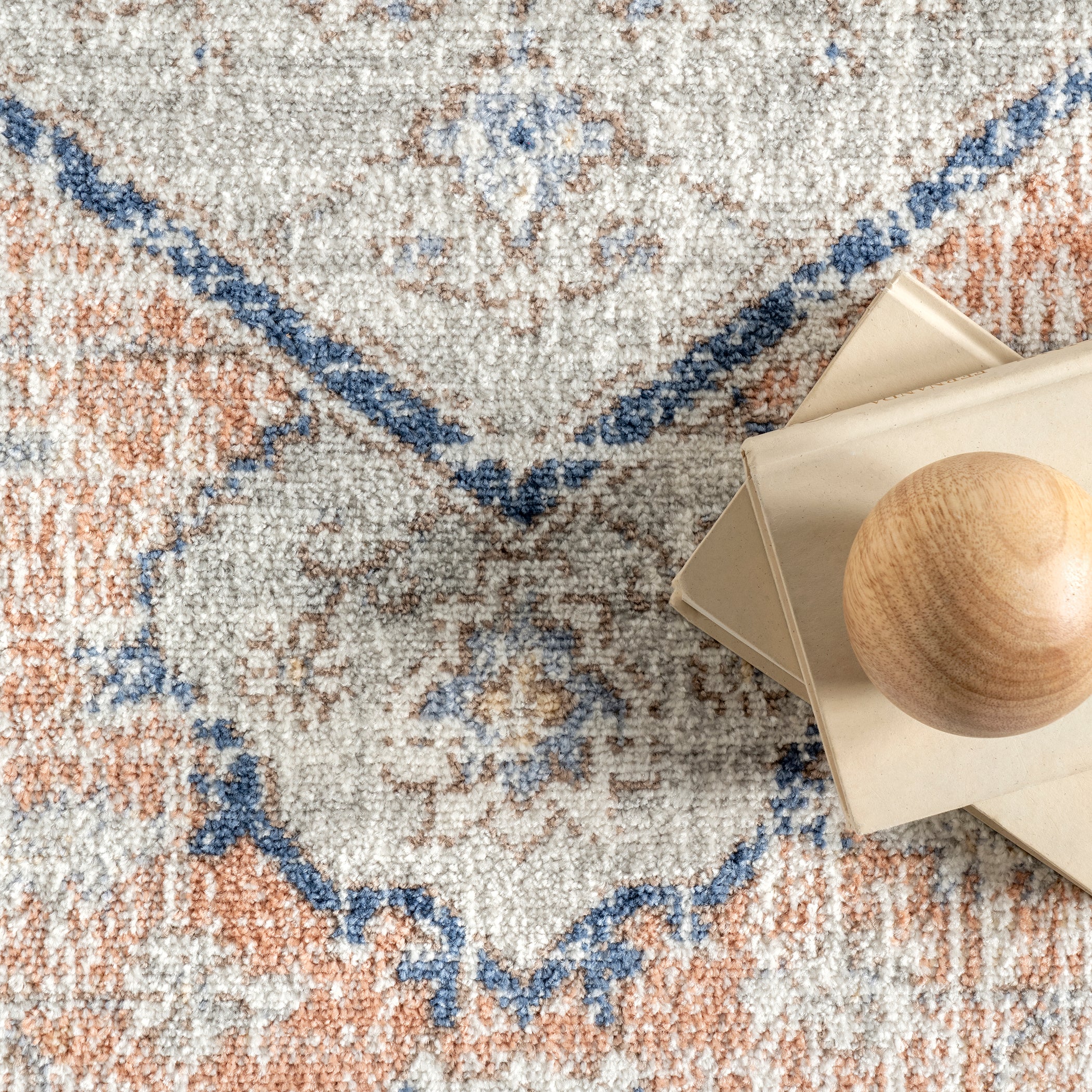 Jacquie Vintage Floral Area Rug — nuLOOM